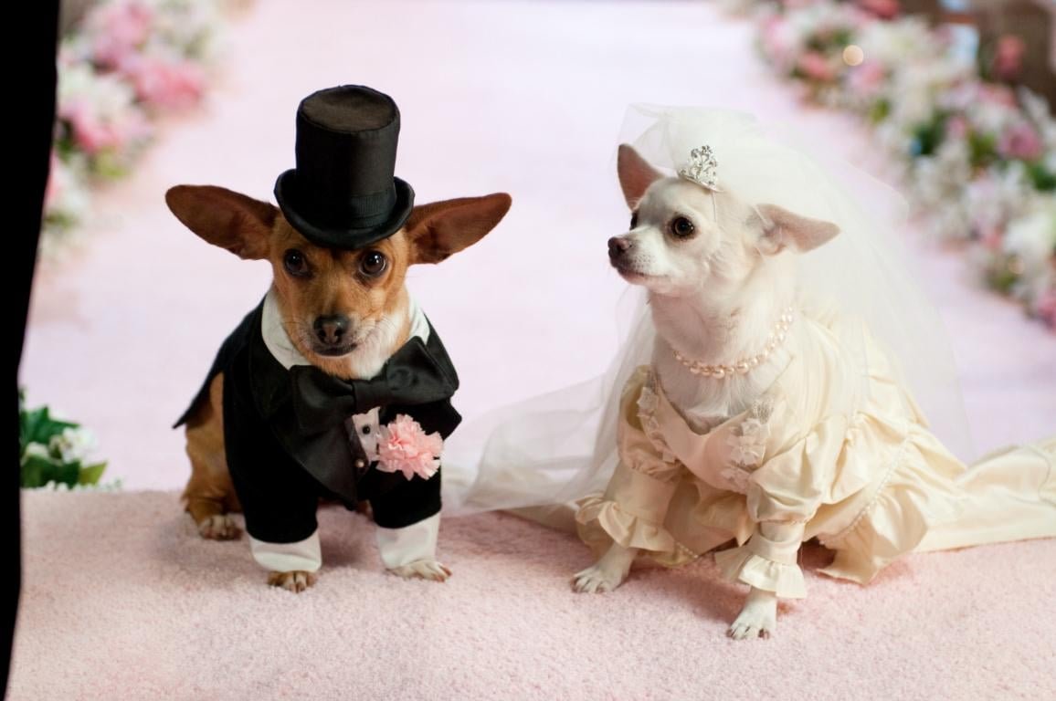 Крошка из Беверли-Хиллз 2