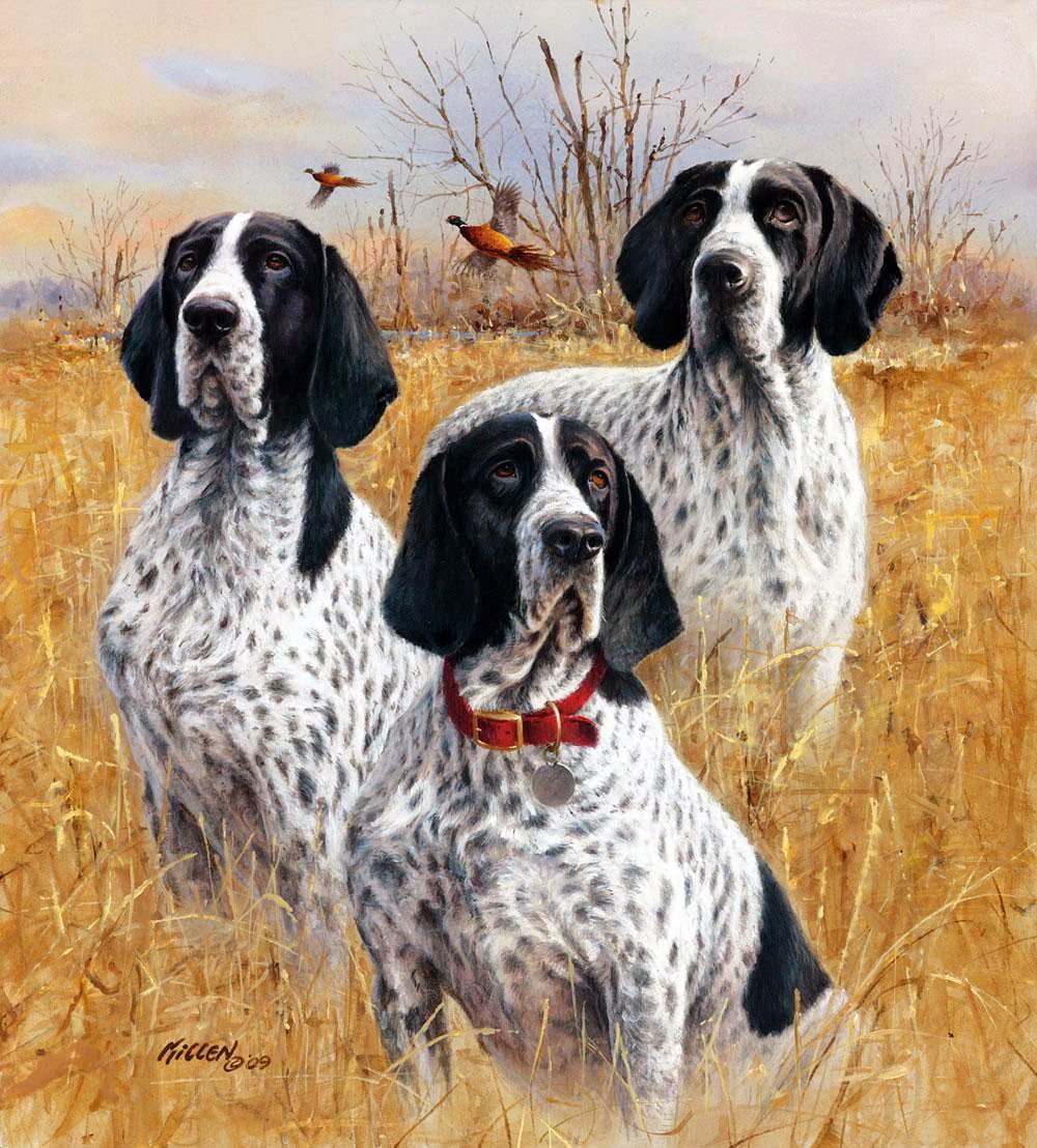 Джим Киллен