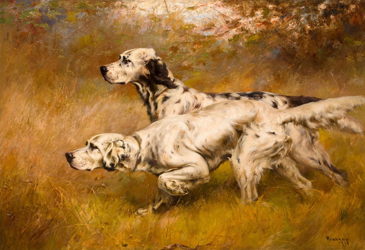 Английский сеттер картина