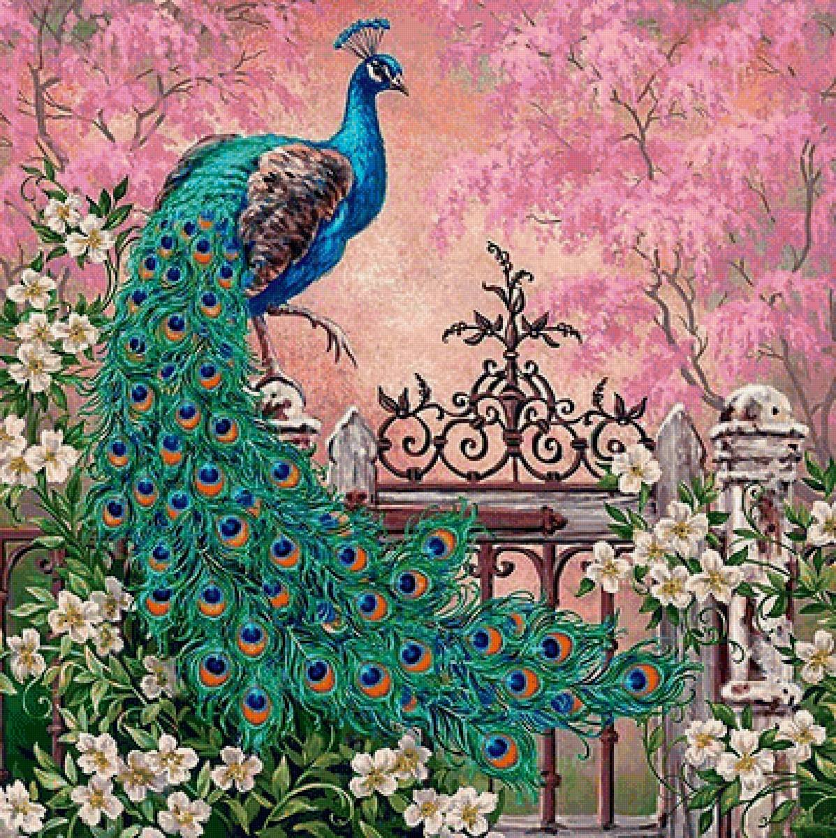 Фрея Павлин