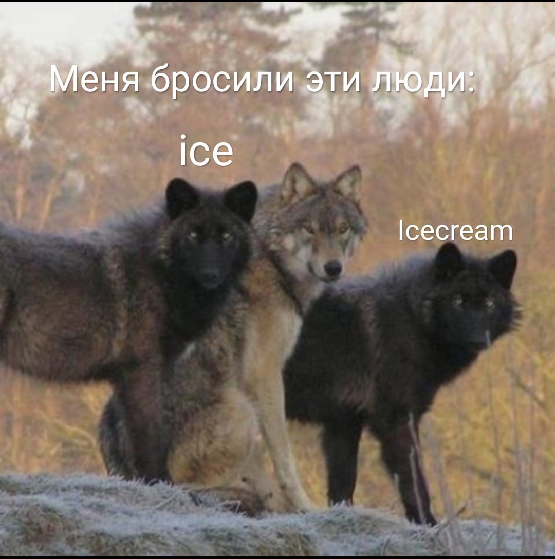 Стая чёрных Волков