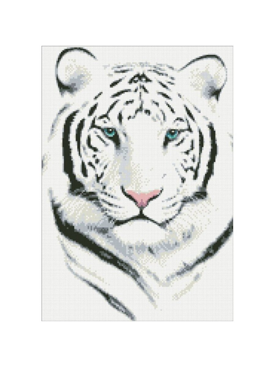 Морда белого тигра