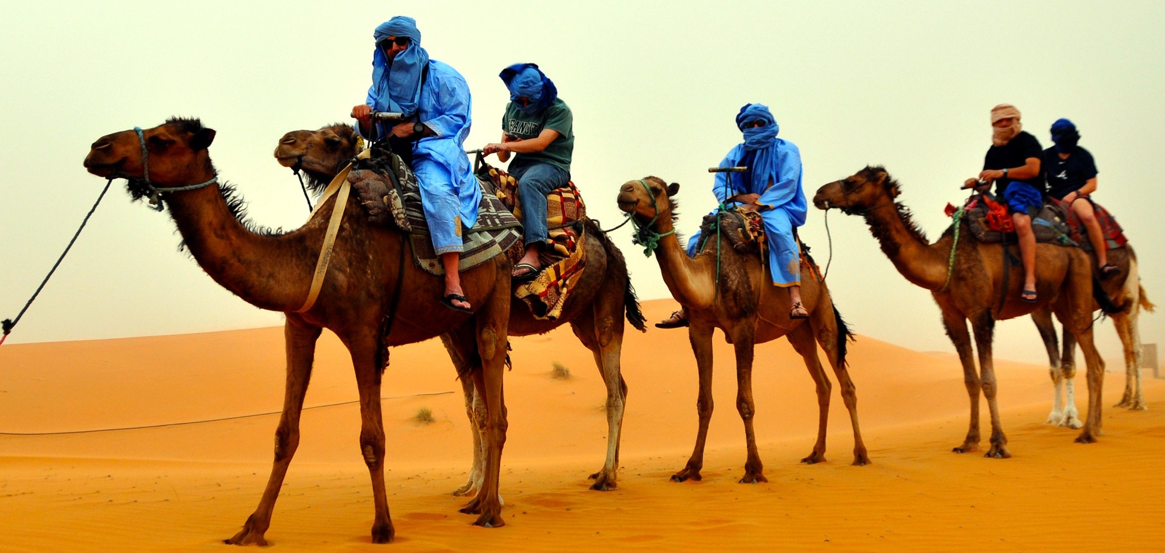 Караваны грузов. Родина одногорбого верблюда. Бедуины в Египте. Туркменский Арвана - одногорбый верблюд. Одногорбый верблюд с наездником.