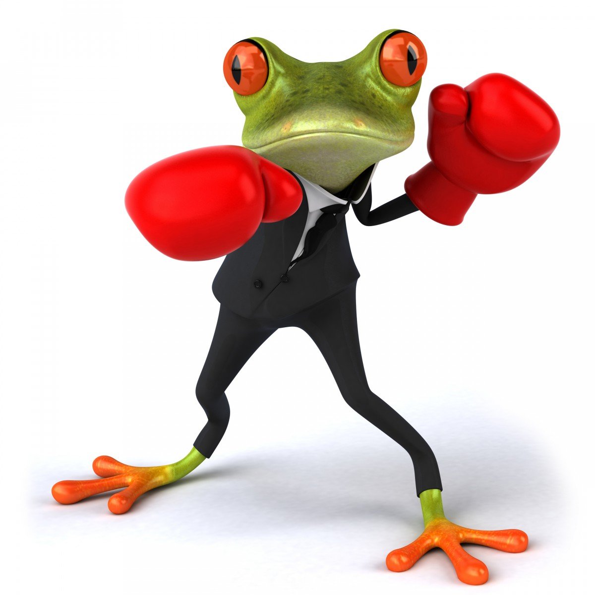 Лягушка в боксерских перчатках
