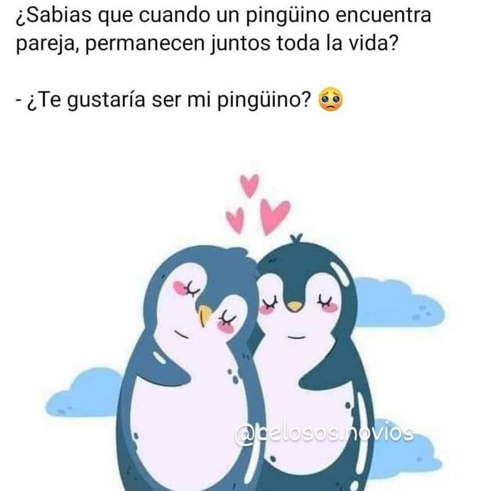 Влюбленные пингвинчики