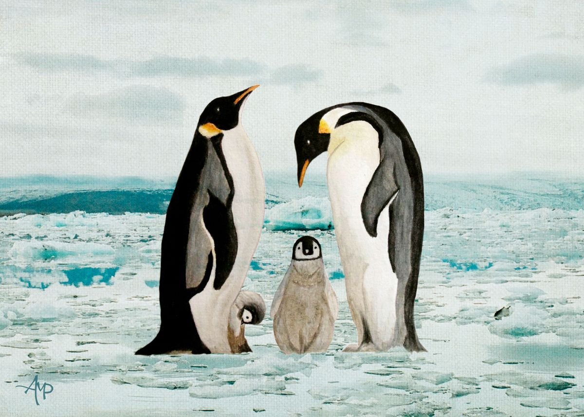 Императорский Пингвин арт