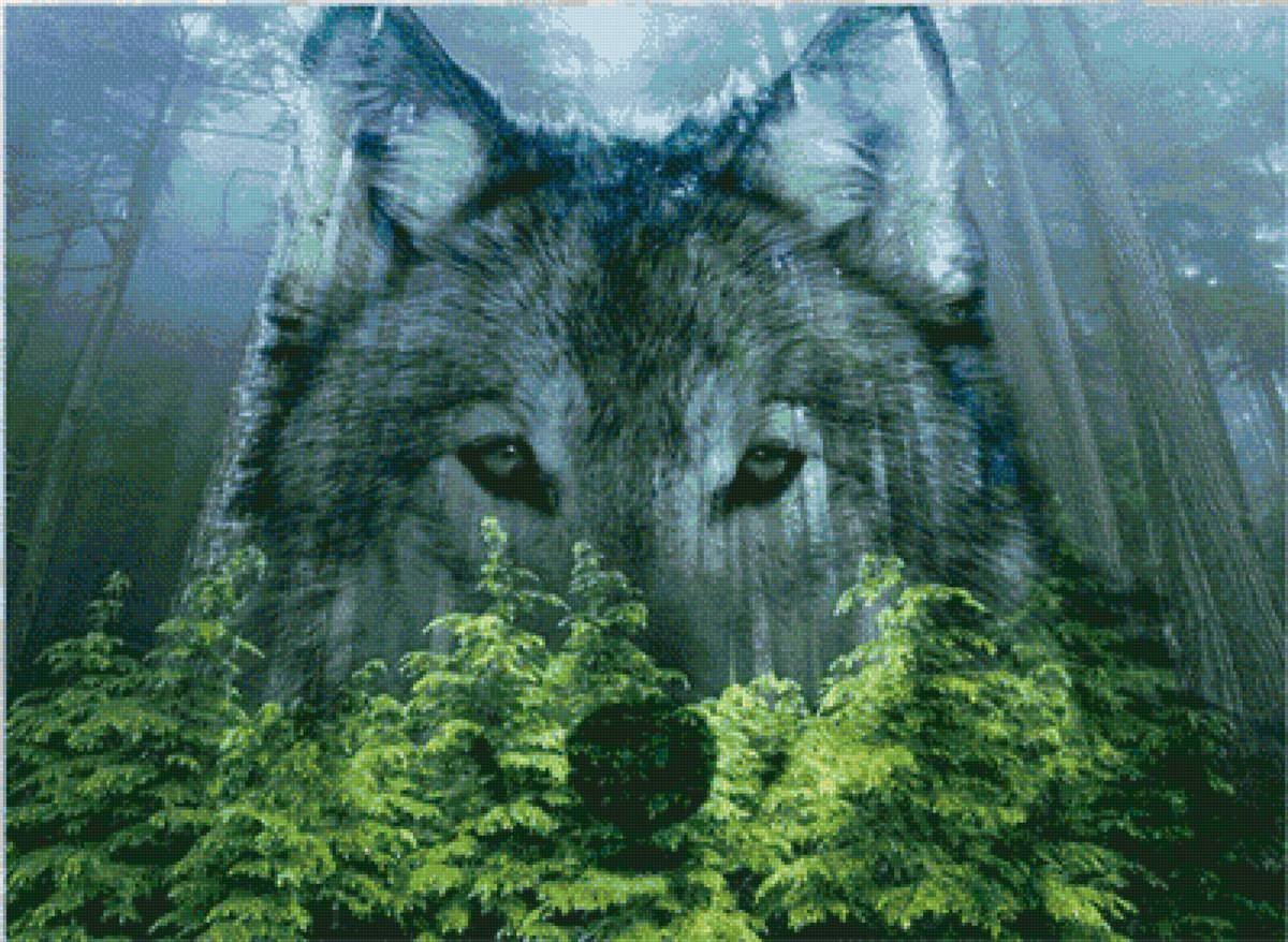 Морда волка в лесу