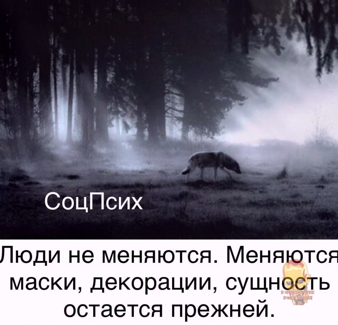 Волк в темном лесу