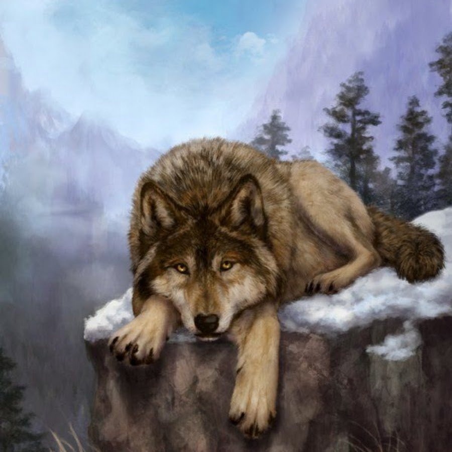 Картины с изображением волка