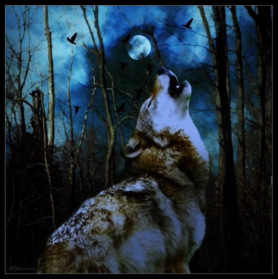 Одинокие волки