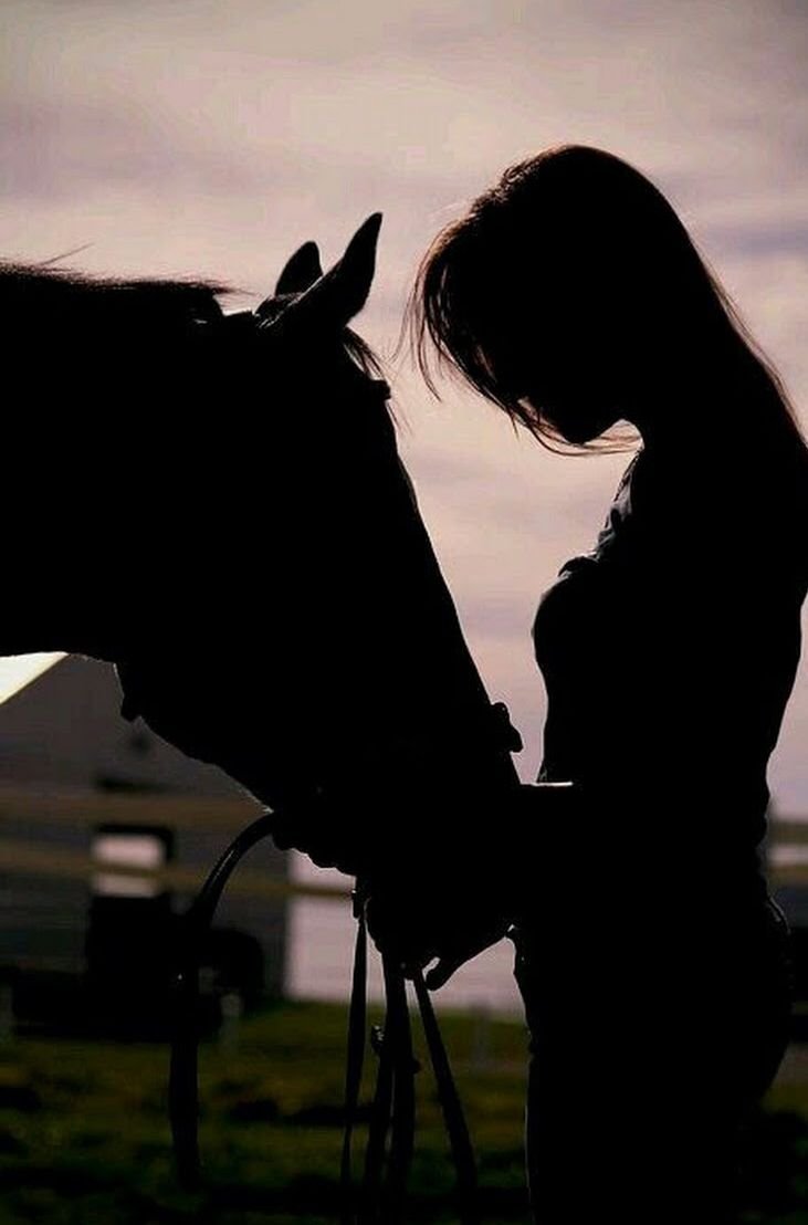 Девушка на лошади со спины