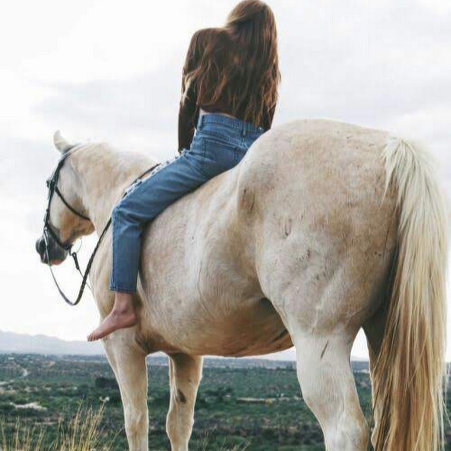 Alycia Burton порода лошади