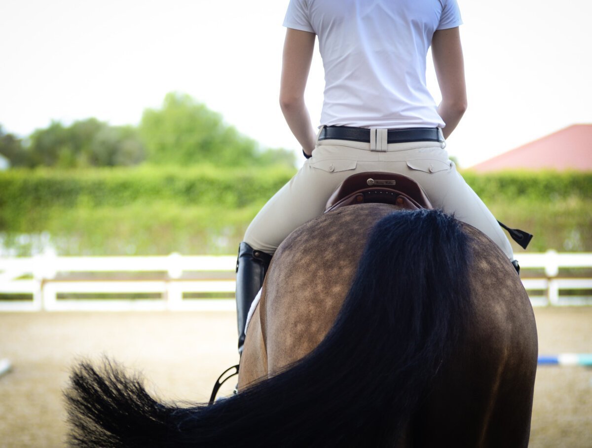 Стрижка для лошадиного лица