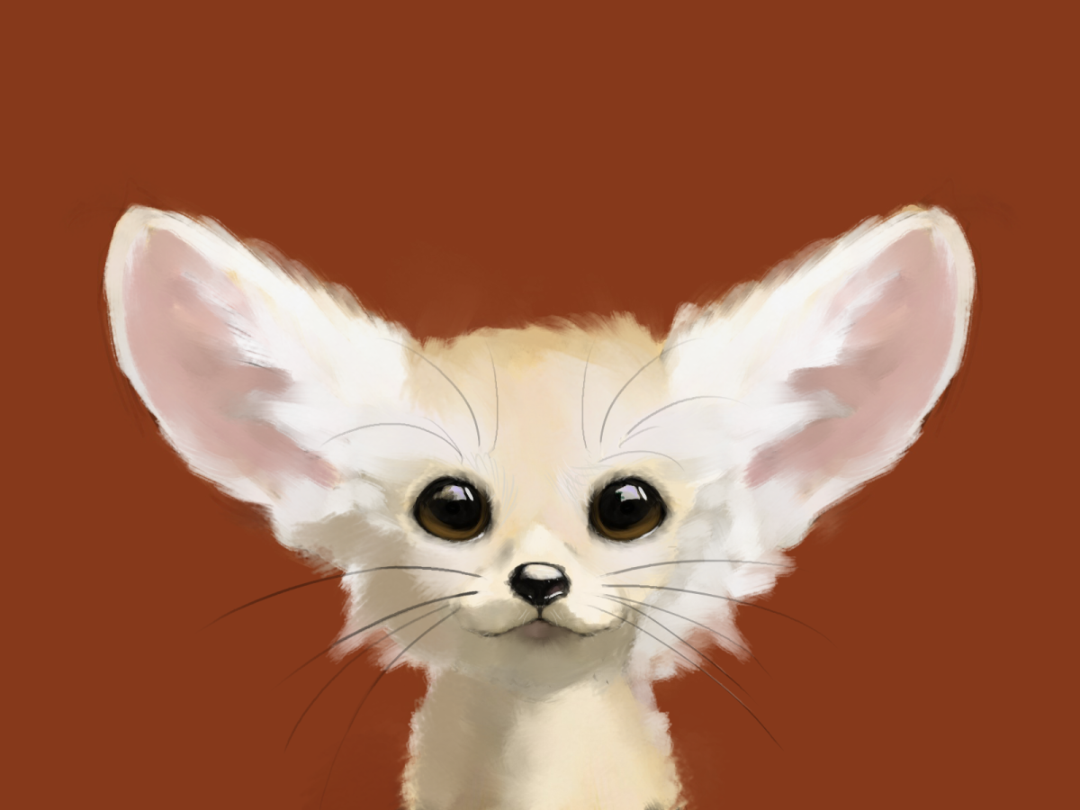 Лисица фенек арт