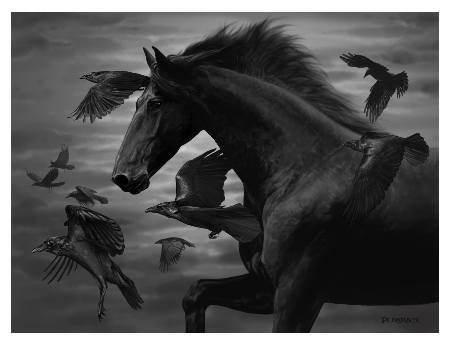 Конь ворон песня текст. Лошадь ворон. Черный вороной конь. Черный конь и ворон. Черный ворон и лошадь.