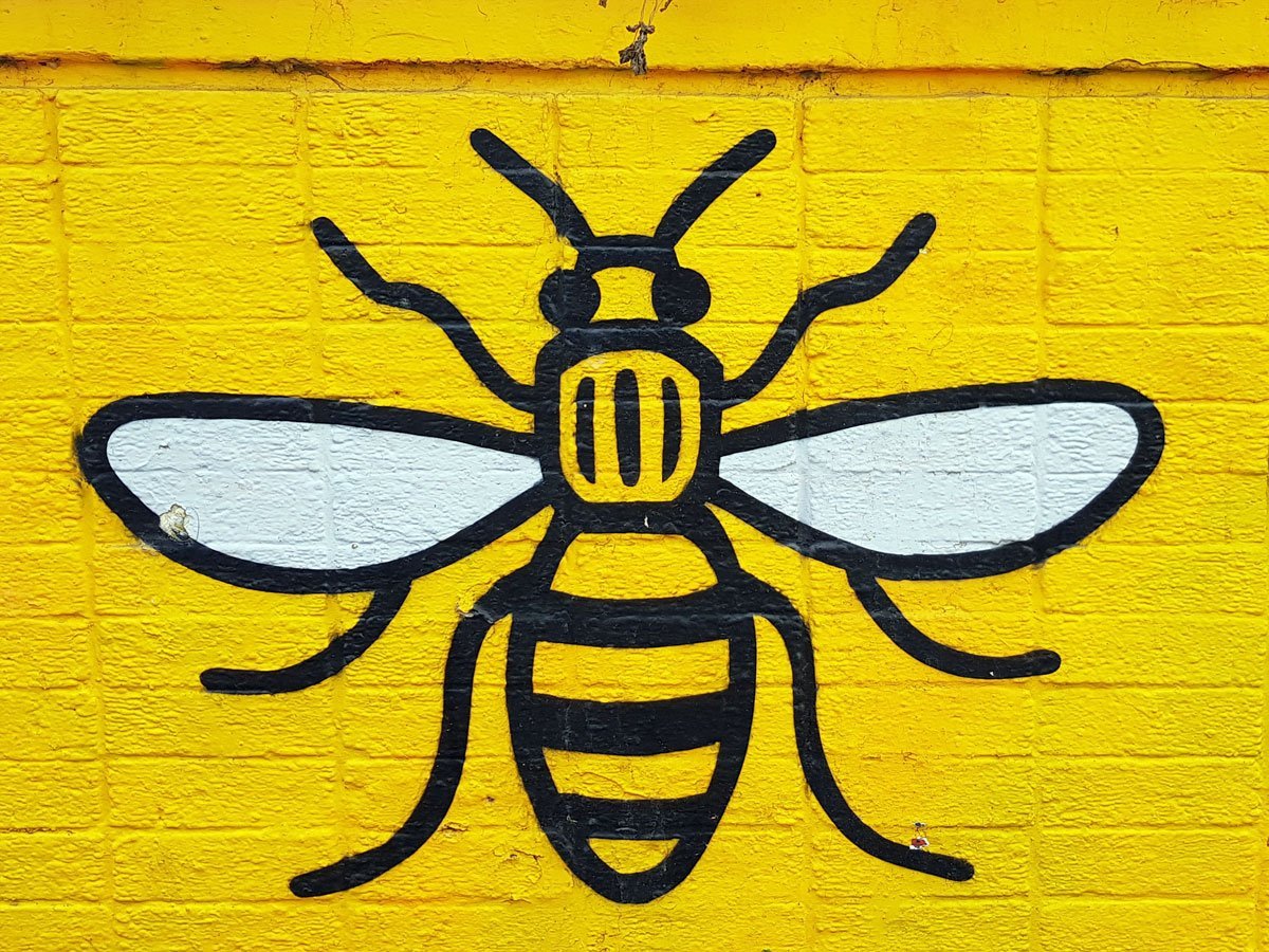 Желто черная пчела