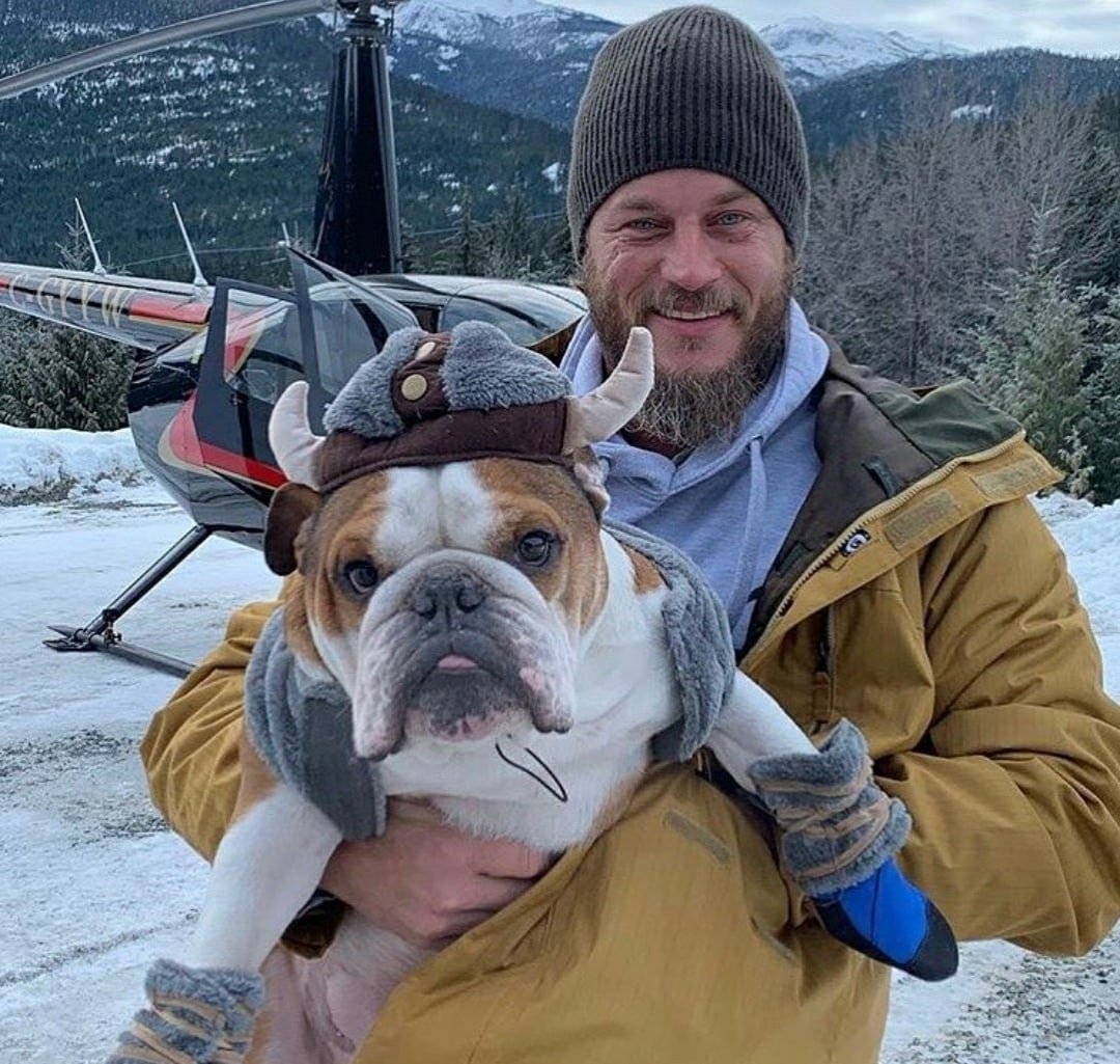 Собака викингов порода