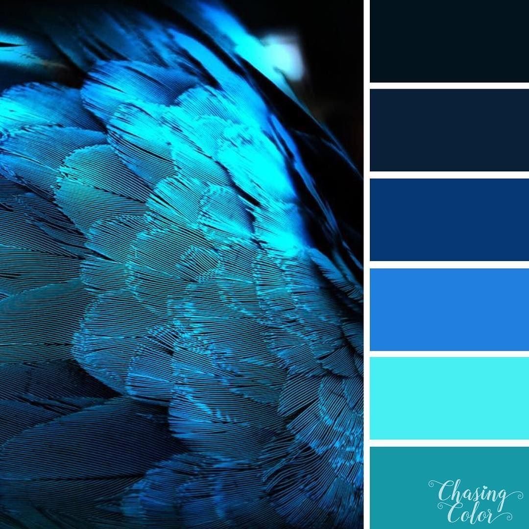 Цветовые Палитры romanuke