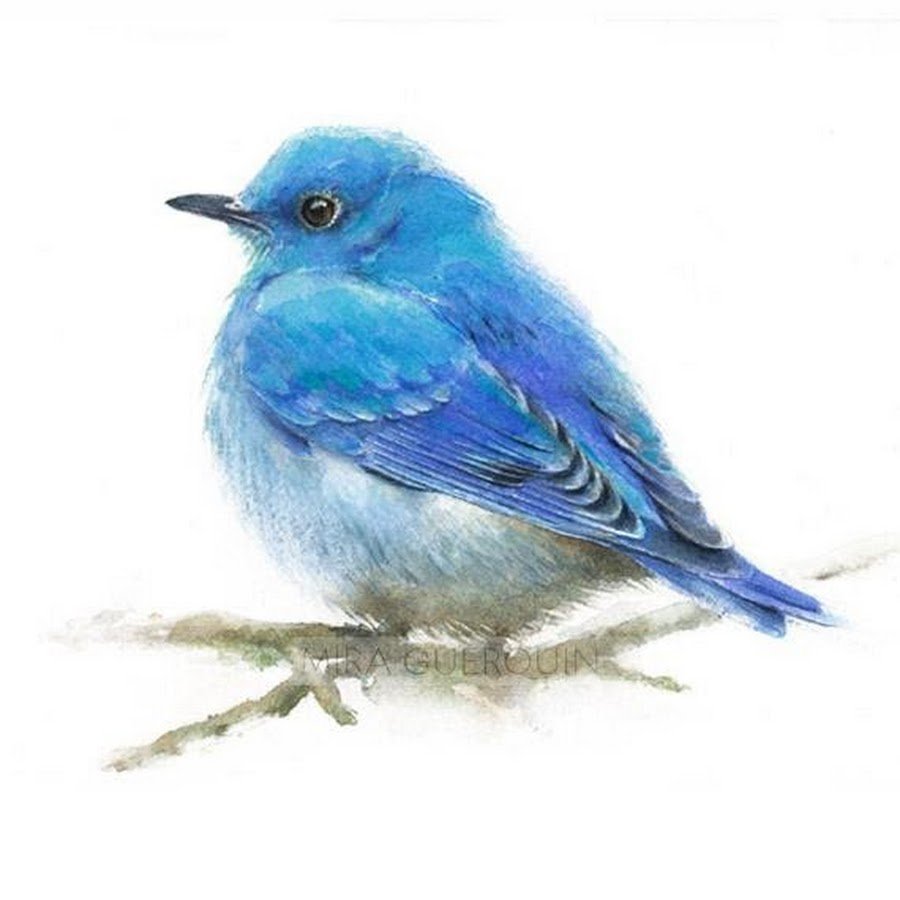 Птички синие в детский