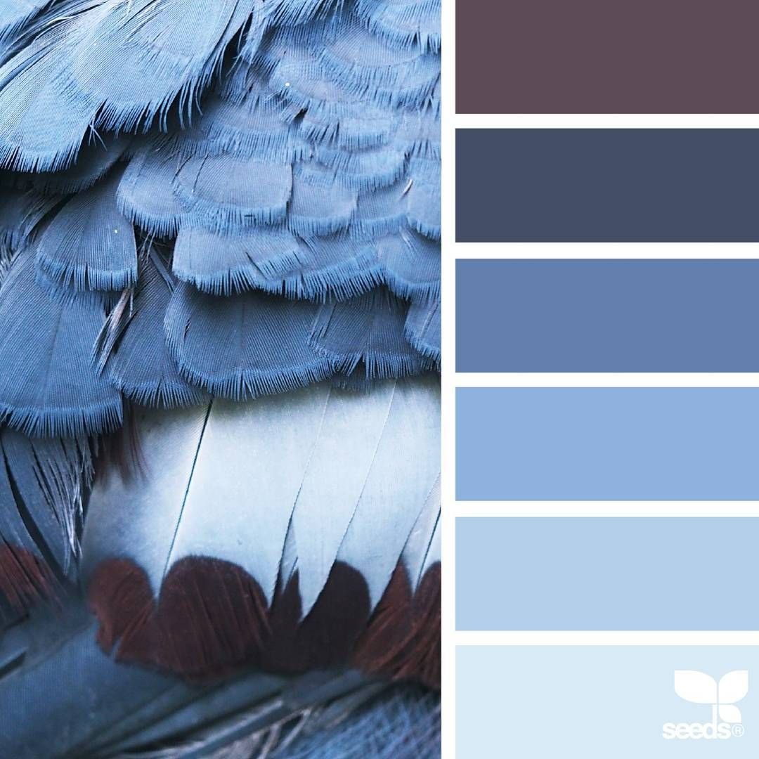 Палитра цветов