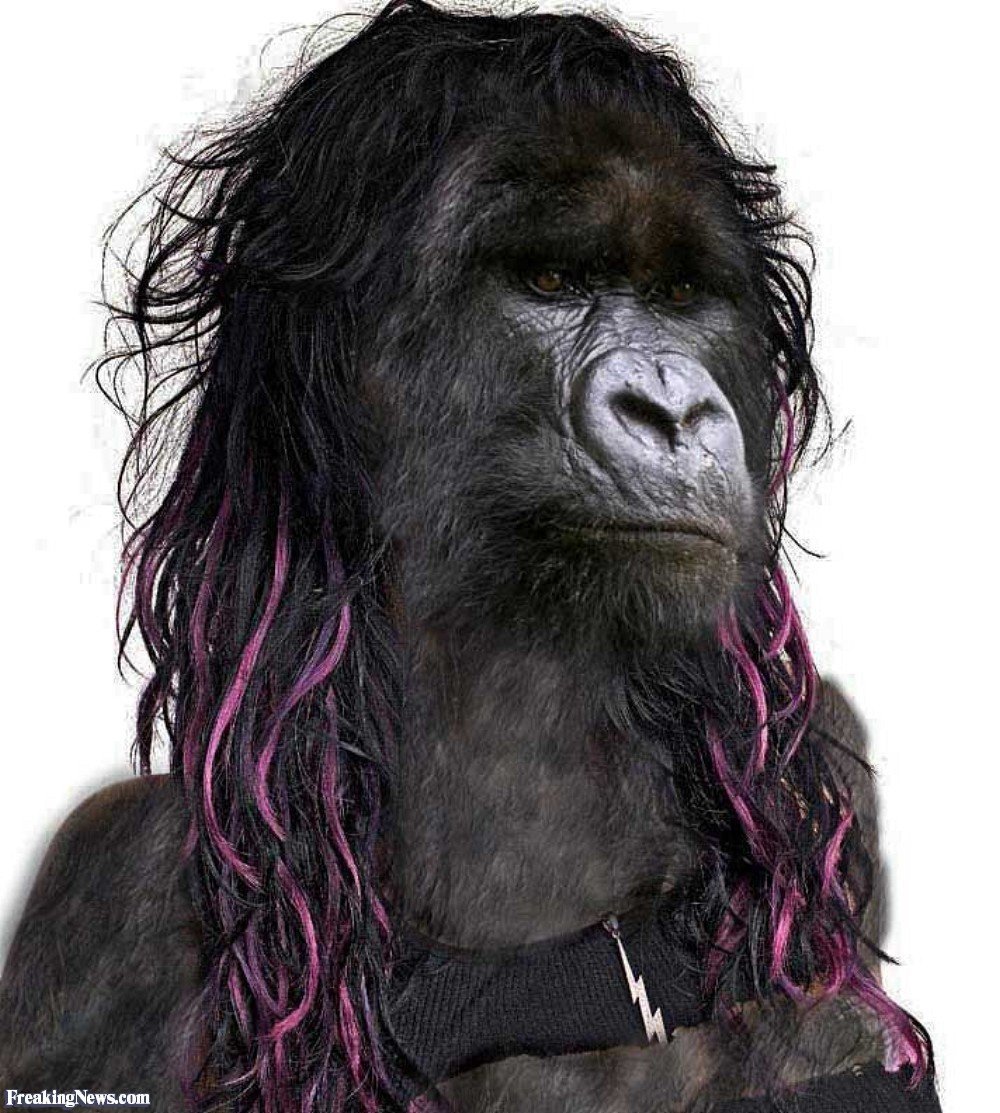 Обезьяна с кудрявыми волосами