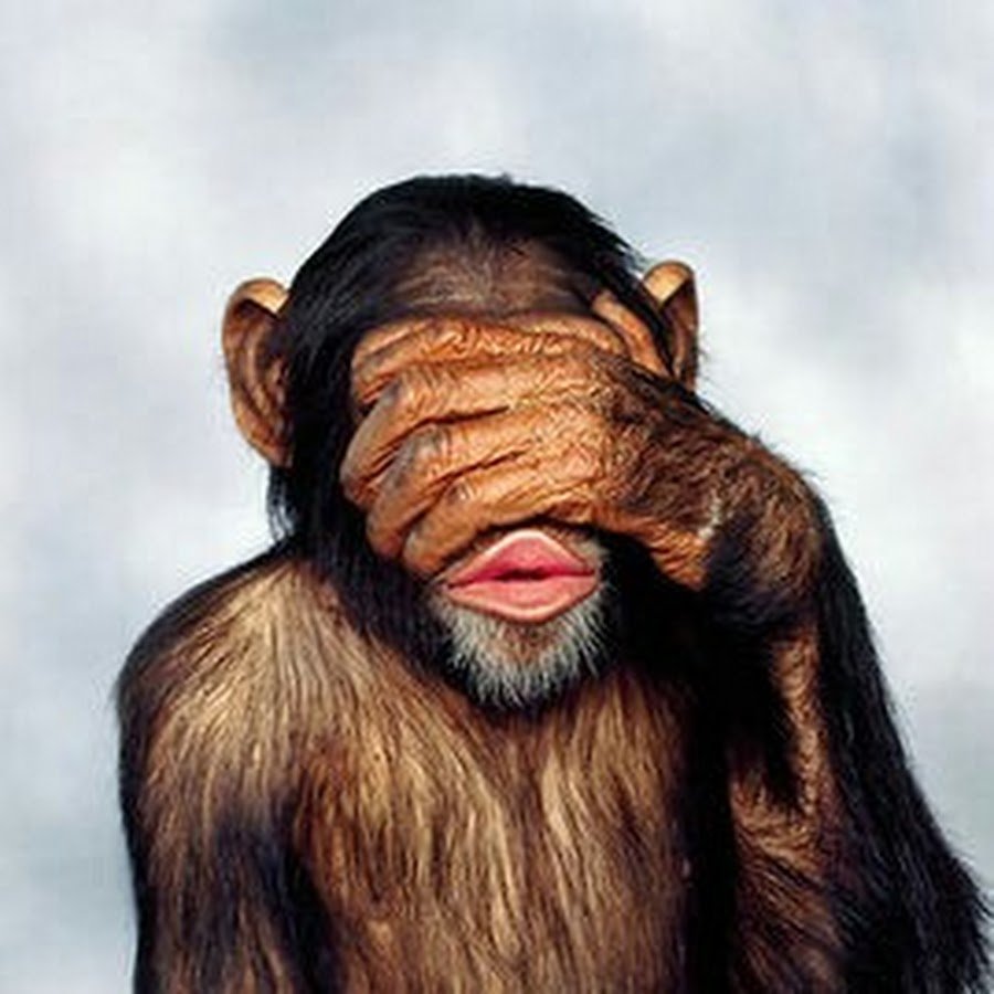 Обезьянка закрывает глаза