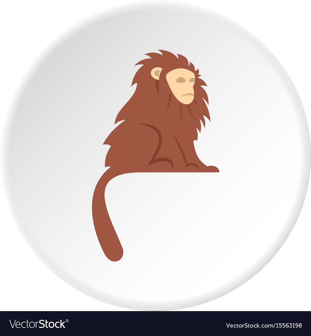 Обезьяны в кругу