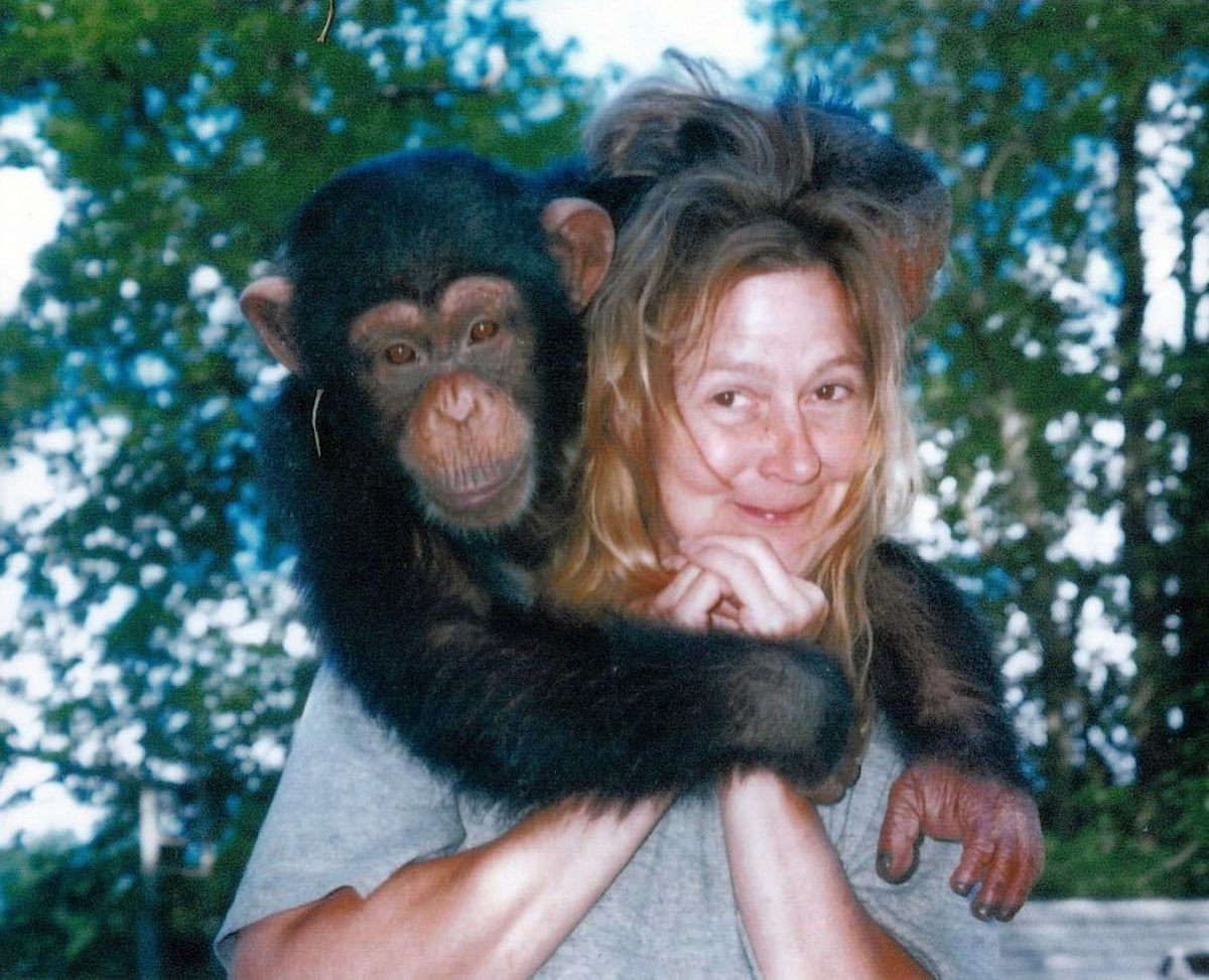 Сандра Трэвис шимпанзе