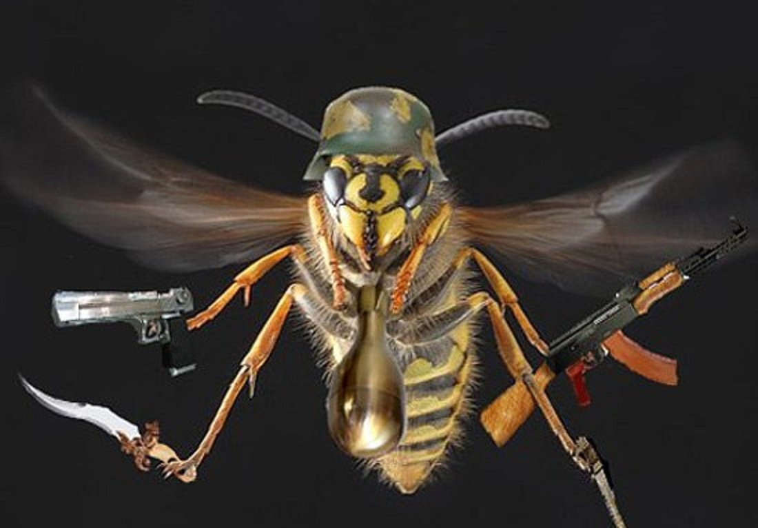 Боевая пчела