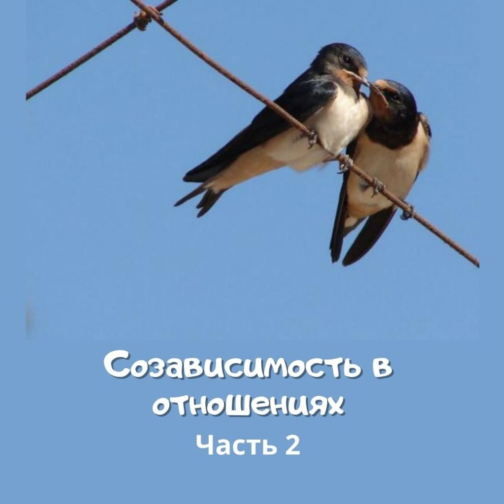 Ласточки прилетели