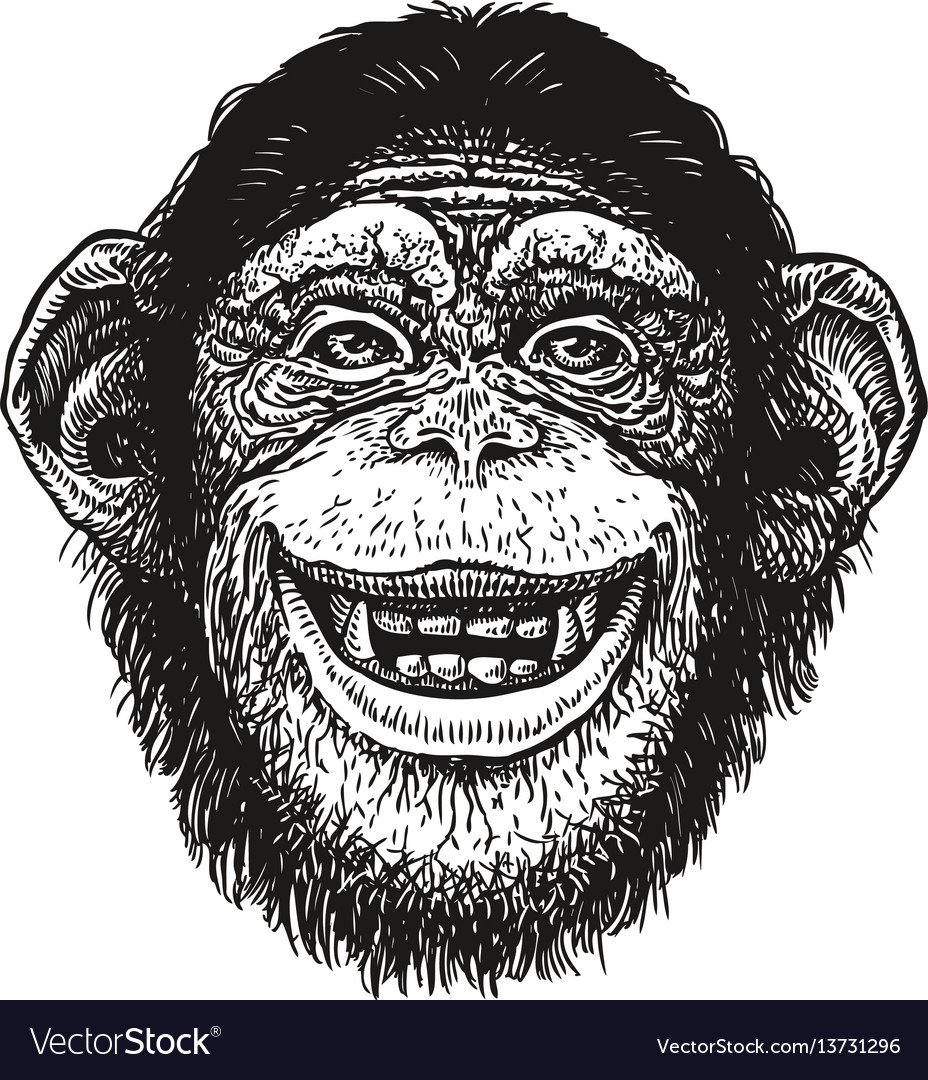 Портрет обезьяны в рамке рисунок