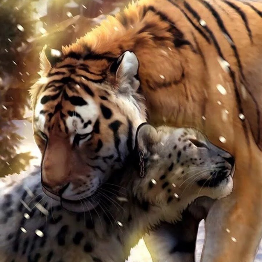 Амурский тигр и снежный Барс