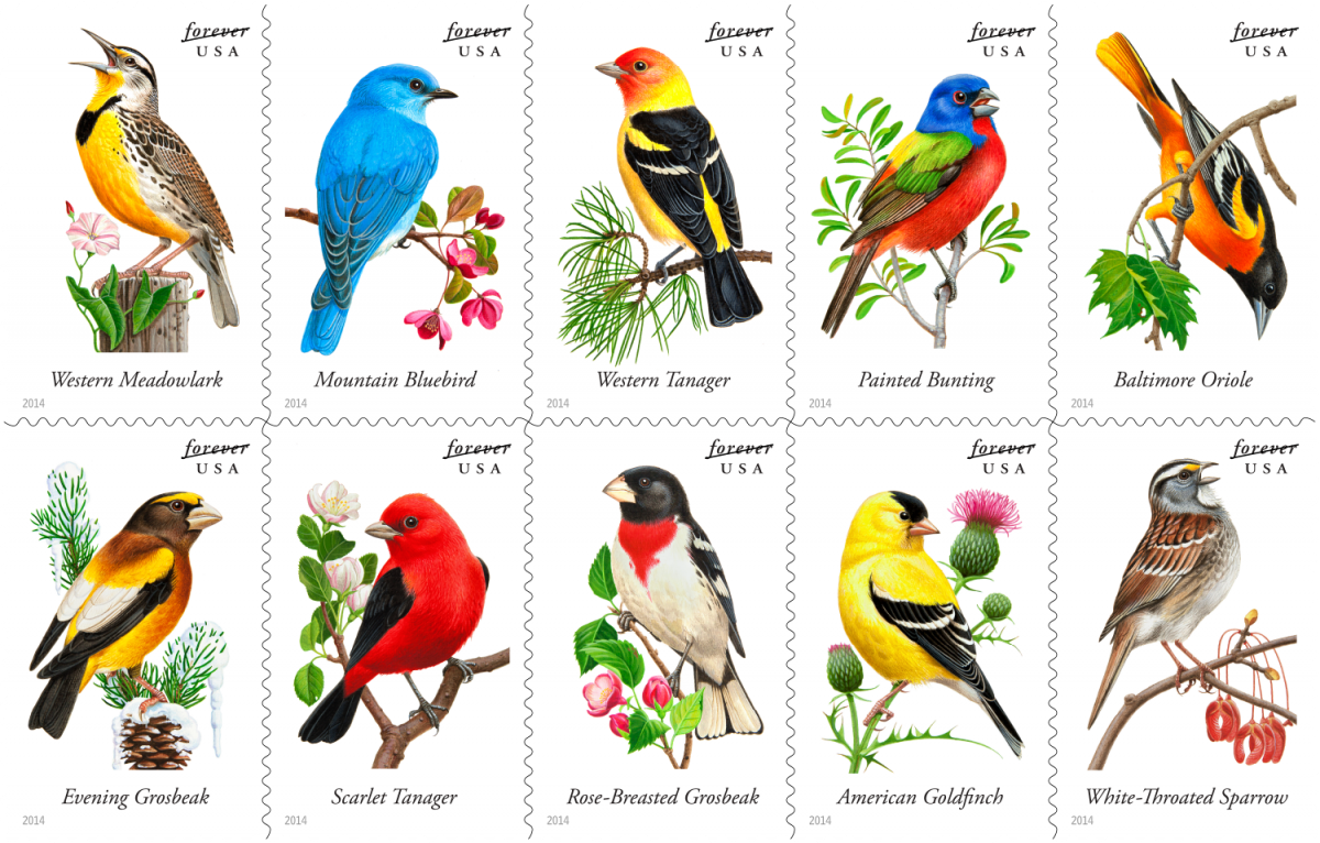 Птицы на букву а