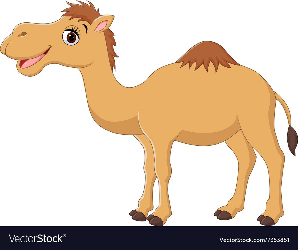 Верблюд мультяшный на белом фоне