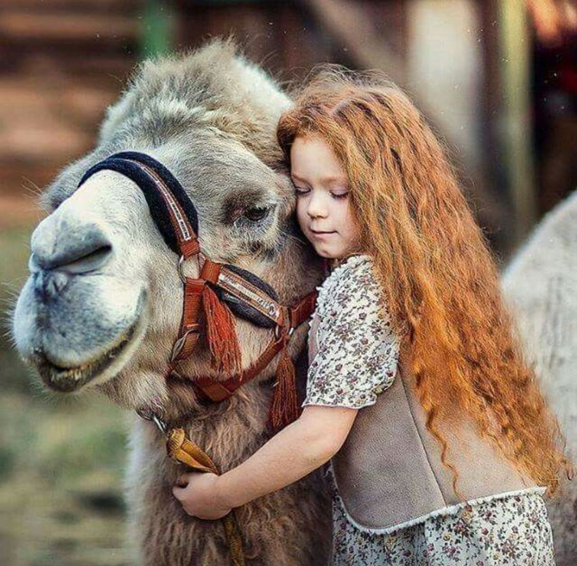Детская фотосессия с верблюдом