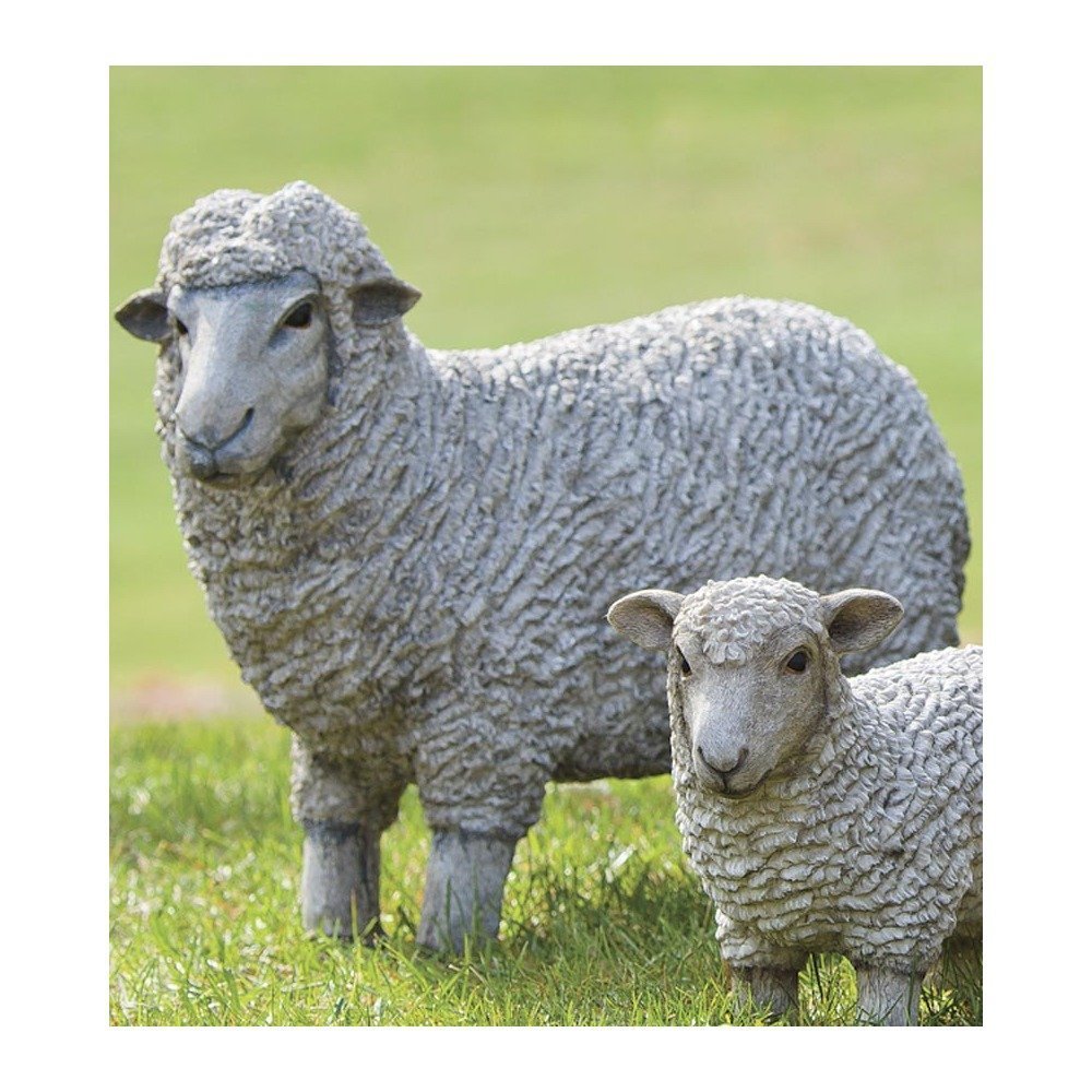 Порода овец Дорсет Господи Суффолк