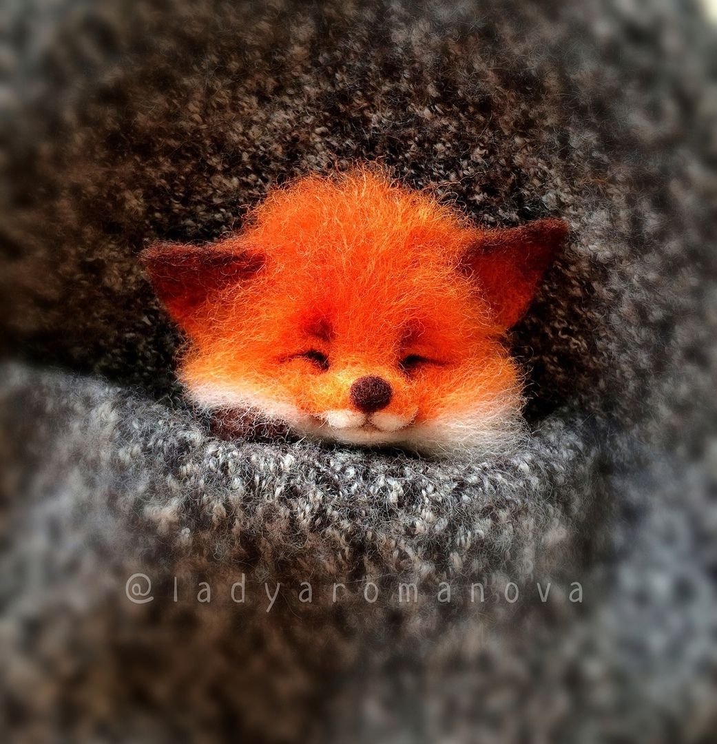 Маленький пушистый Лисенок