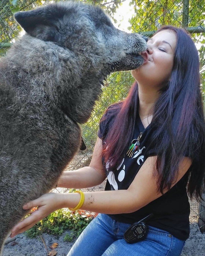 Волкособ Юки