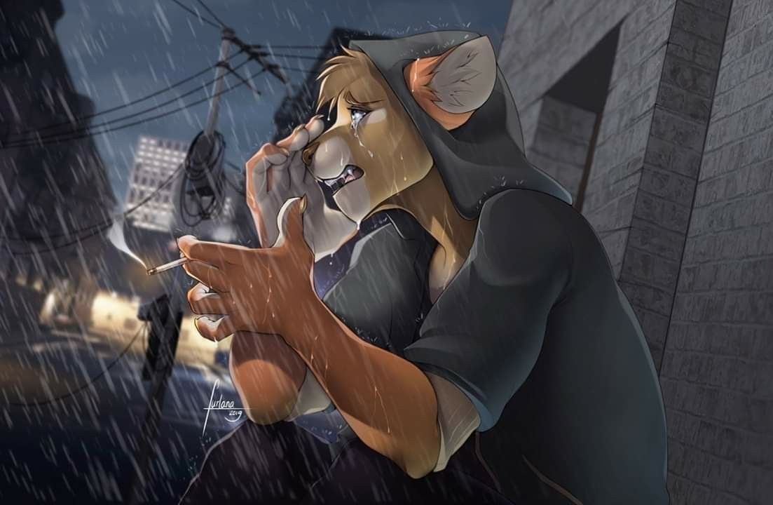 Фурри одиночка