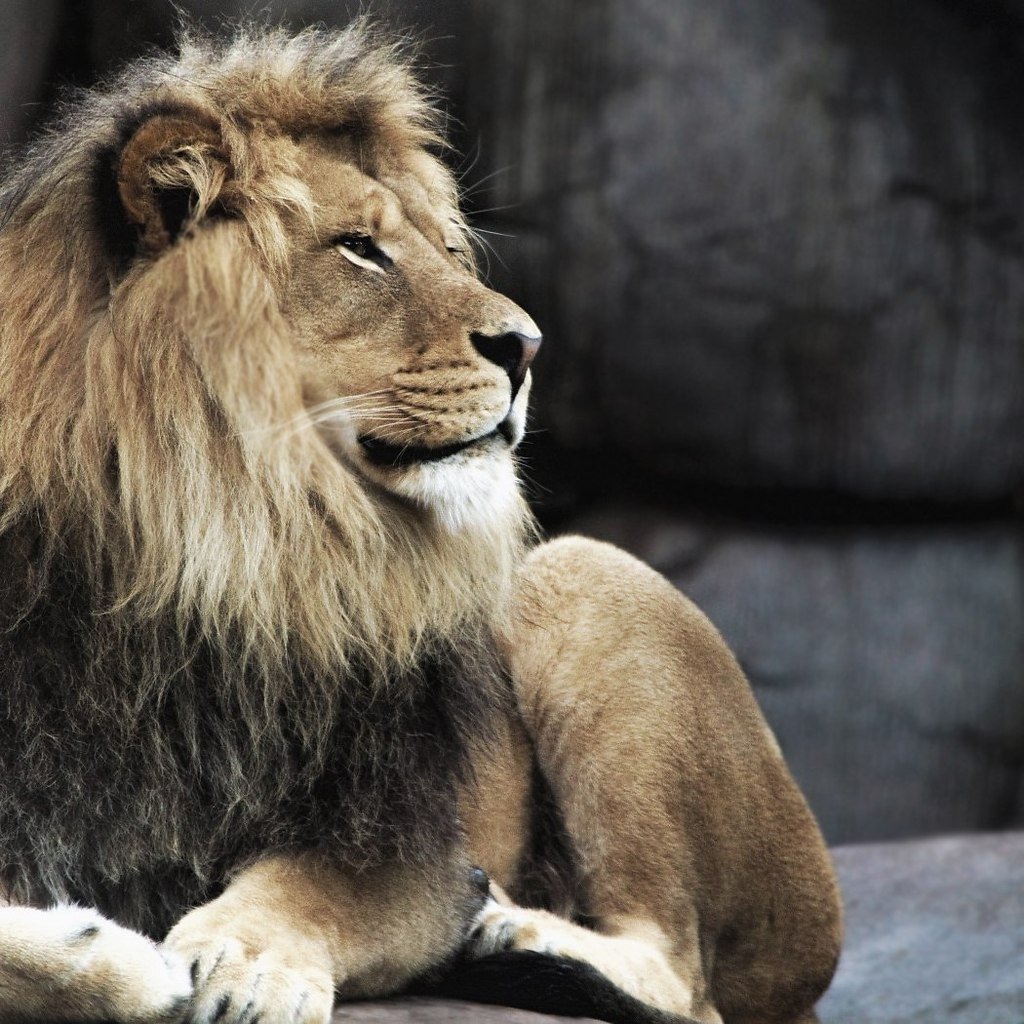 Афоризмы про Львов