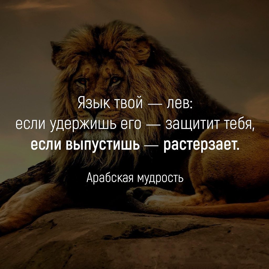 Афоризмы про Львов