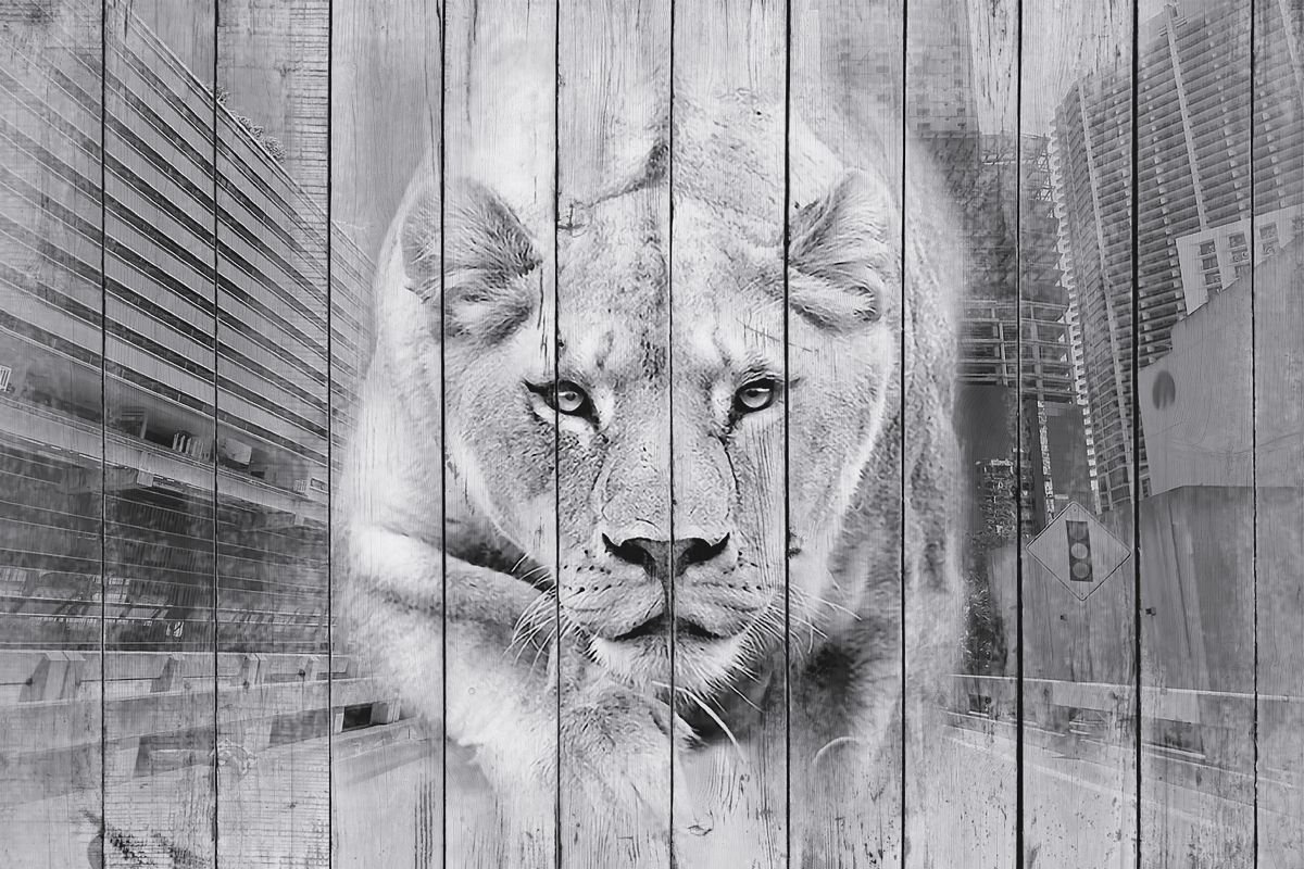 Картины на досках животные