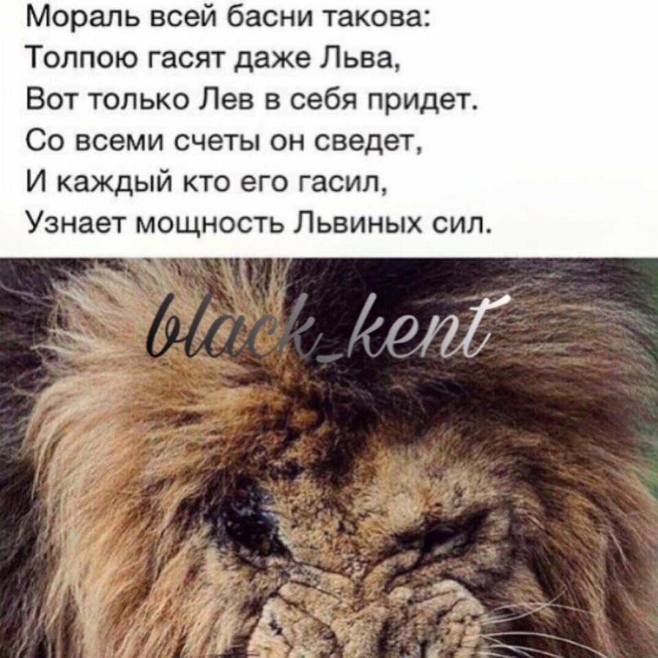 Суть басни такова толпою гасят даже Льва