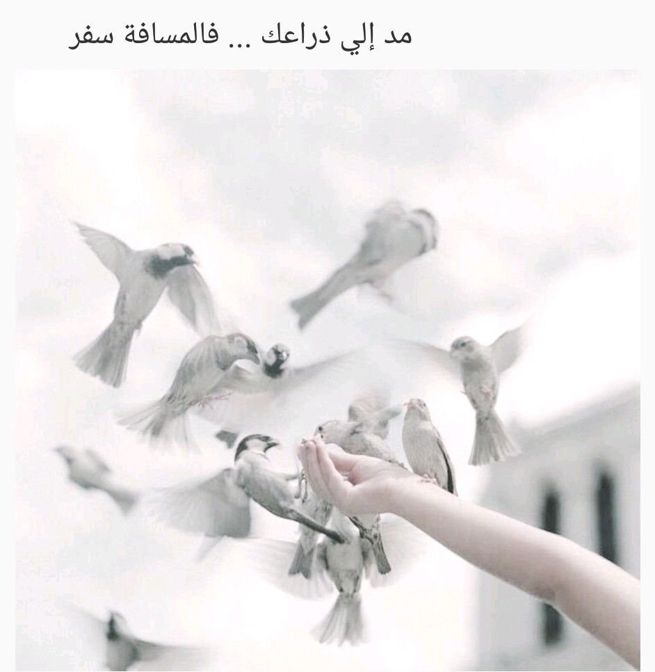 Светлая Эстетика