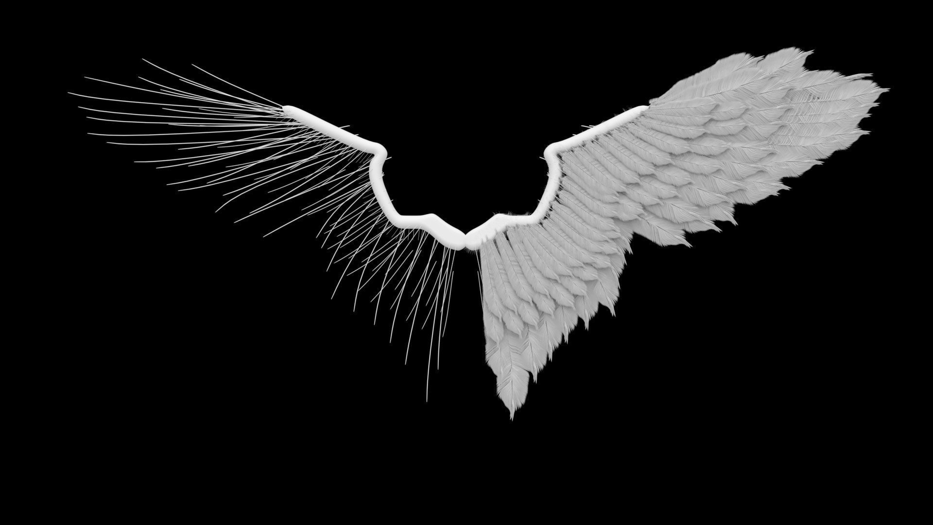 Крылья на черном фоне. Крылья ангела. Крылья ангела и демона. Черные Крылья. Крылья ангела на черном фоне.