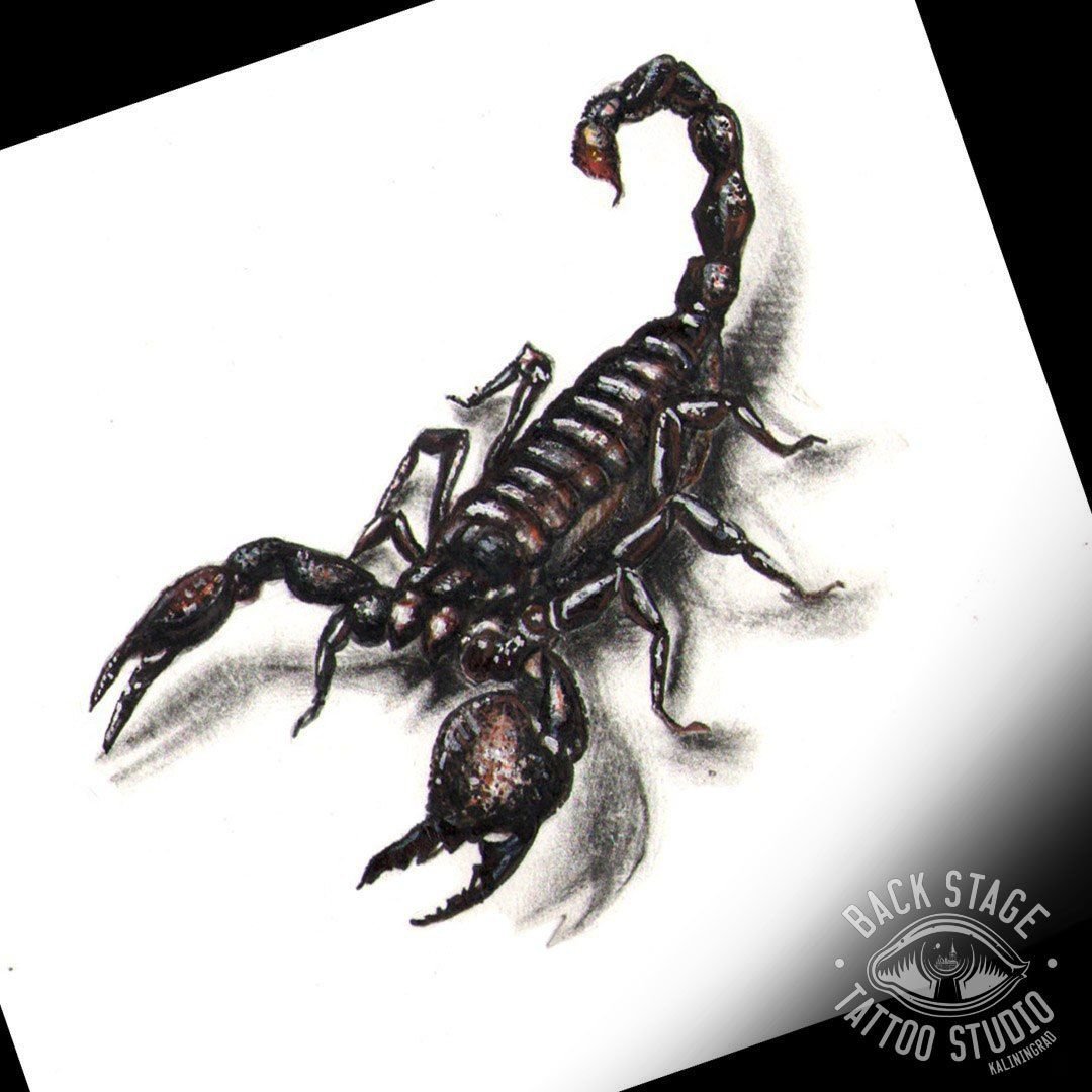 Скорпион реализм