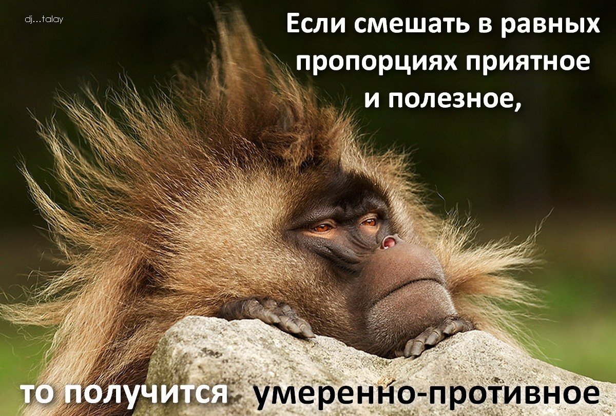 Приколы с бодуна