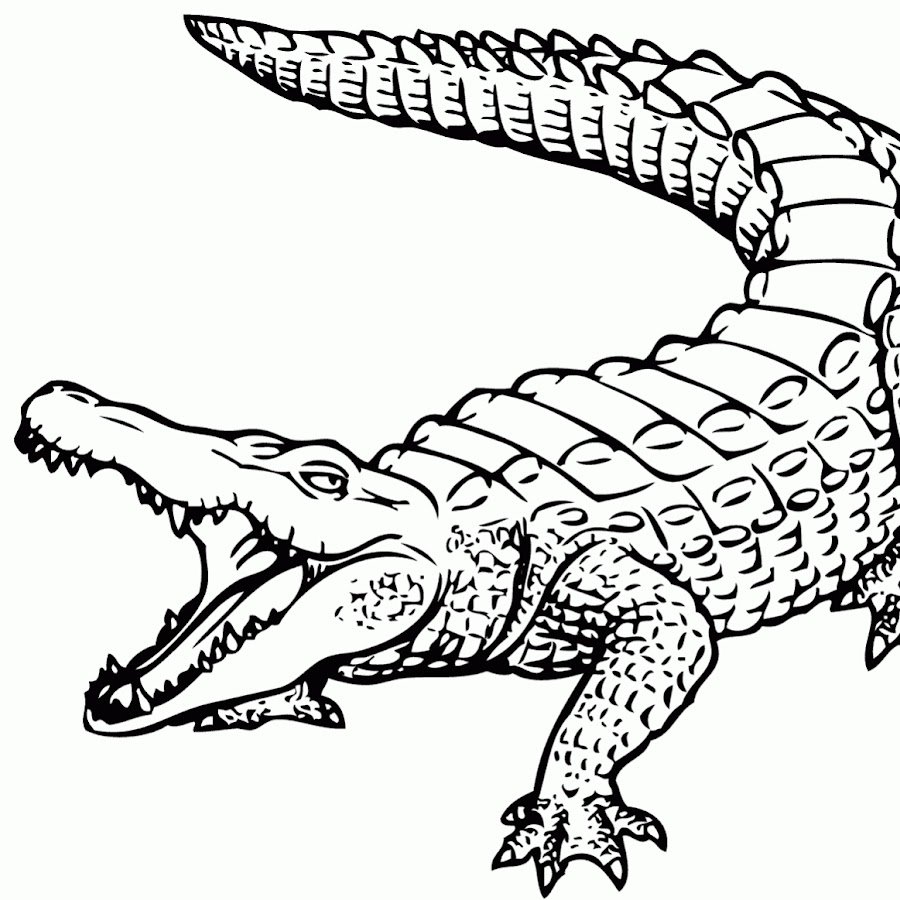 Крокодил картинка раскраска