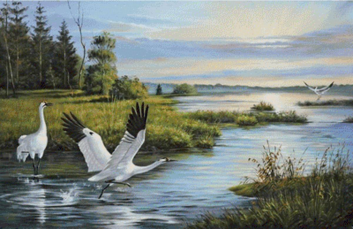 Пейзаж с птицами