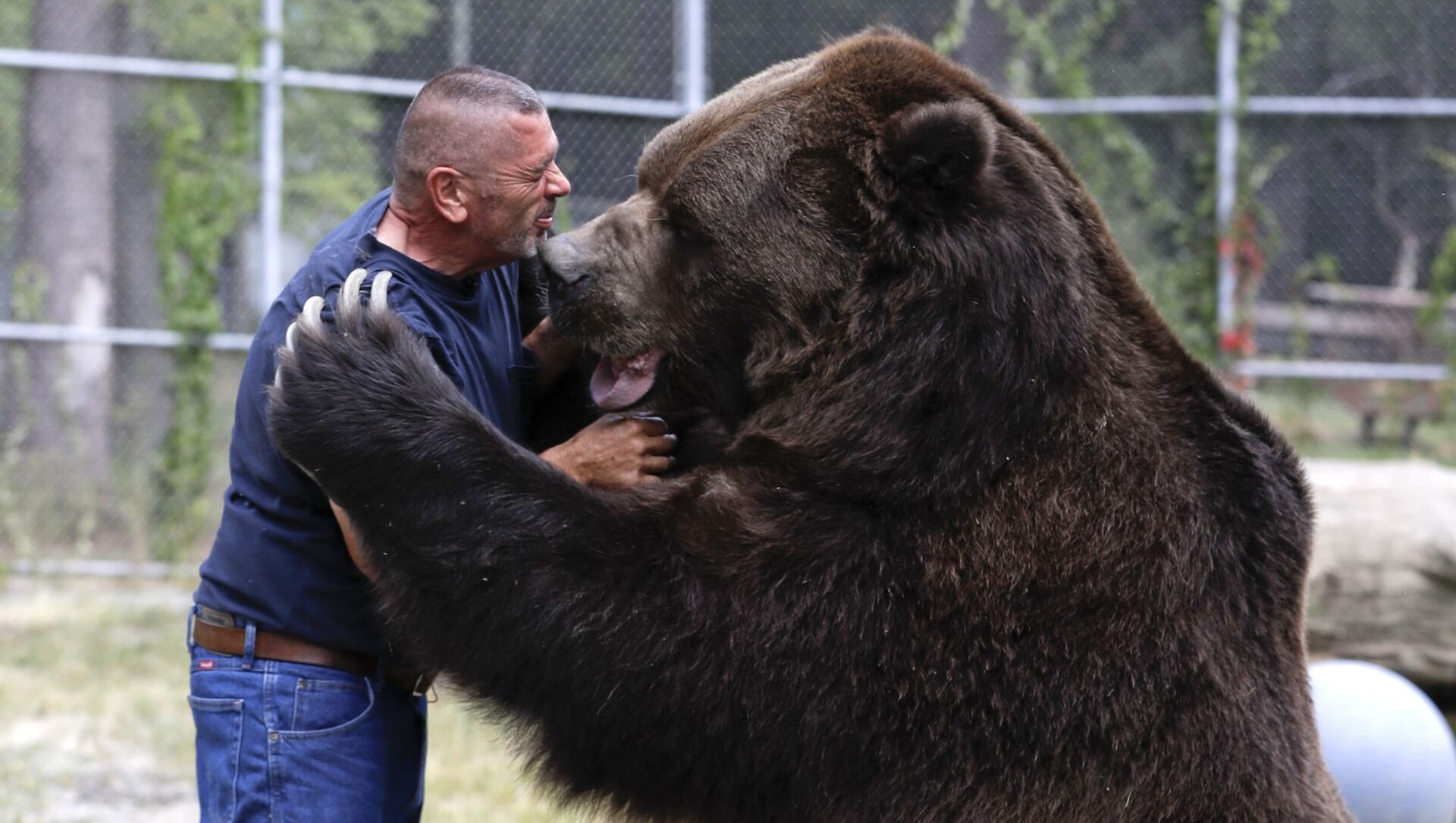 Какой медведь сильнее. Джим и Джимбо. Бурый медведь Кадьяк. Большой бурый медведь Кадьяк. Джим Ковальчик.